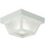 White Glass 8.25" Indoor/Outdoor Ceiling Light with LED Option