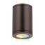 Bronze 5" LED Indoor/Outdoor Flush Mount Light