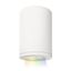 Elysian White LED Indoor/Outdoor Flush Mount with Color Changing Technology