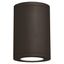 Cylindrical Bronze 6" LED Architectural Outdoor Flush Mount Light