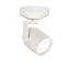 Paloma White LED Monopoint Spot Light with High Performance Optics