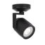 Black Glass LED Indoor/Outdoor Spot Light