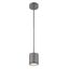 Graphite Aluminum LED Indoor/Outdoor Pendant Light