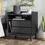 Black Mid-Century Modern 2-Drawer Pine Wood Nightstand