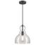 Fiona 12" Black-Bronze Pendant with Clear Seeded Glass Shade