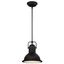 Farmhouse-Inspired Boswell Adjustable LED Pendant in Oil Rubbed Bronze