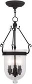 Elegant Seeded Glass 3-Light Pendant Chandelier in Black