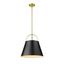 18" Matte Black and Heritage Brass Steel Pendant Light