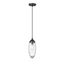 Matte Black Glass and Nickel Indoor/Outdoor Pendant Light