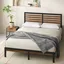 Kai Queen Bamboo and Metal Platform Bed Frame with Headboard