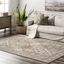 Becca Taupe and Gray Synthetic 2' x 3' Area Rug