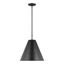 Midnight Black Nickel-Finish 1-Light Pendant with Steel Shade