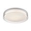 Clear Glass and LED Round Flush Mount Light