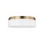 Rhett Modern Satin Brass LED Flush Mount with Etched Glass