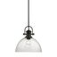 Black Steel and Glass Transitional Indoor/Outdoor Pendant Light