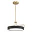 Pemberton Black and Brass LED Globe Pendant with Acrylic Shade