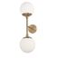 Dayana 23'' Black and Brass Transitional Globe Sconce