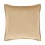 Toulhouse Gold Velvet 20" Square Decorative Throw Pillow Cover