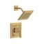 Gold Wall Mounted Rain Shower Trim Kit with Lever Handle