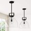 Matte Black Pendant Light with Clear Glass Shade