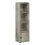 Compact Gray Wood 4-Tier Bookcase with Door