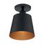 Matte Black and Brass Glass Drum Semi Flush Light