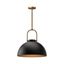 Harper Matte Black Glass and Metal Pendant Light