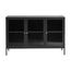 Refined Modern Black and Gold Metal Sideboard with Glass Panel Doors