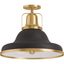 Hauksbee 12" Black with Brass Trim Indoor/Outdoor Semi-Flush Light