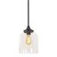 William Mini Black Glass Bell Pendant Light for Indoor/Outdoor