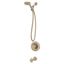 Bronzed Gold Wall Mounted Handheld Shower Faucet Set