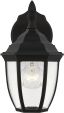 Bakersville 11'' Black Steel Outdoor Lantern Sconce with Clear Beveled Glass