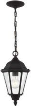 Bakersville Black Outdoor Pendant with Satin Etched Glass