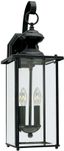 Black 20.25 Inch 2-Light Outdoor Wall Lantern with Clear Glass