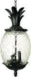 Lanai Matte Black Pineapple Glass Outdoor Hanging Lantern