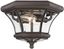 Bronze 2-Light Indoor/Outdoor Flush Mount with Clear Glass