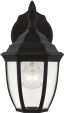 Bakersville 11'' Black Steel Outdoor Lantern Sconce with Clear Beveled Glass