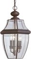 Antique Bronze 3-Light Outdoor Pendant with Clear Glass