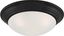 Matte Black Modern 16.75" Flush Mount Ceiling Light with Etched Glass