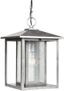 Hunnington 1-Light Outdoor Pendant in Weathered Pewter with Clear Seeded Glass