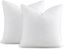 White 20" x 20" Down Feather Pillow Inserts, Set of 2