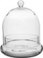 Medium Clear Glass Bell-Shaped Terrarium Cloche