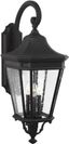 Black Aluminum 3-Light Outdoor Wall Lantern with Clear Seeded Glass