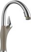 Truffle Stainless Steel Pull-Down Spray Kitchen Faucet