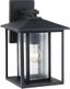 Pewter and Black Energy Star Outdoor Lantern with Seeded Glass