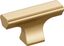 Champagne Bronze 2-Inch Modern Cabinet Knob