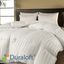 Twin White Cotton Down Alternative Comforter Set