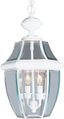 White Beveled Glass 2-Light Outdoor Hanging Lantern