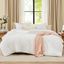 White Queen Down Alternative Microfiber Comforter Set