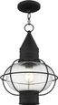 Black Nautical Outdoor Pendant Light with Clear Glass Globe